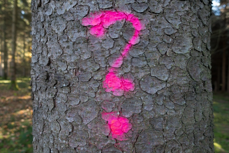 קורס נומרולוגיה