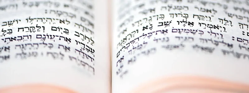 torah-6750376_1920